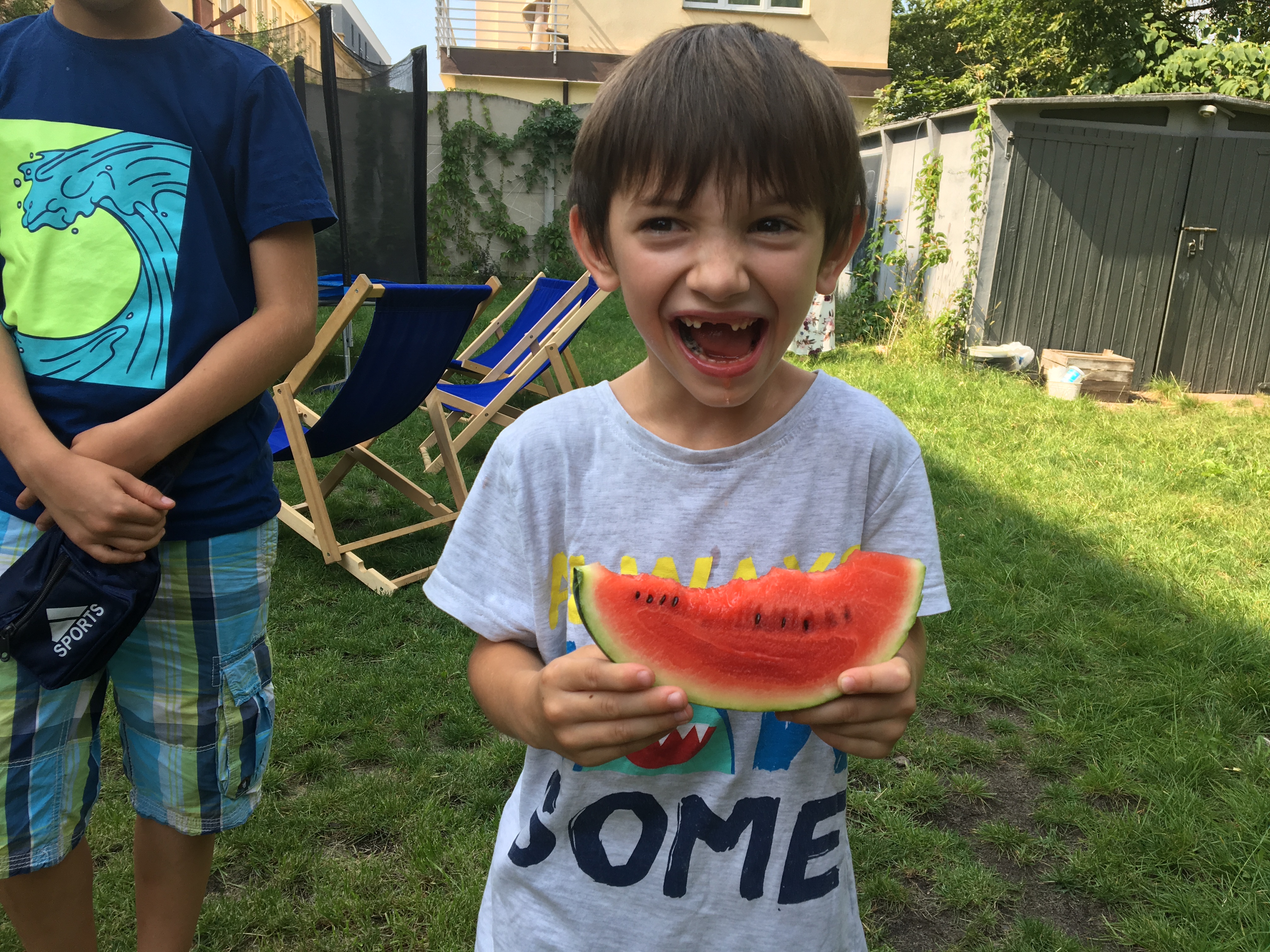 Cisora - Fundacja Joanny Radziwiłł Opiekuńcze Skrzydła.JPG