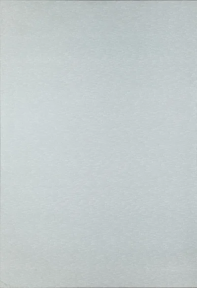 "Detal 3 065 461 - 3 083 581" z cyklu "1965/1 - ∞", Roman Opałka