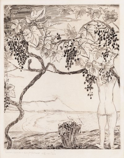 Joseph Hecht - Zbiór winogron