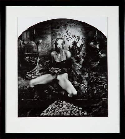 Sławomir Rumiak - Anita i życie płciowe ptaków, 2003 r.