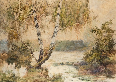 Józef Rapacki - Wierzby nad wodą