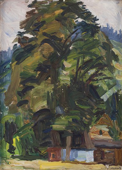 Jan Wojnarski - Góralskie chaty