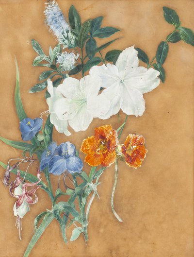 Pierre-Joseph Redouté - Martwa natura