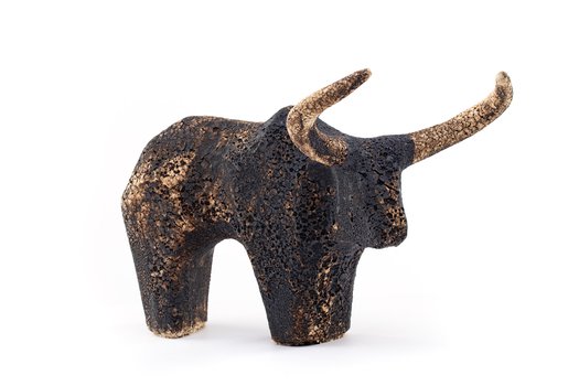 Jakub Niewdana - Ankole-Watussi