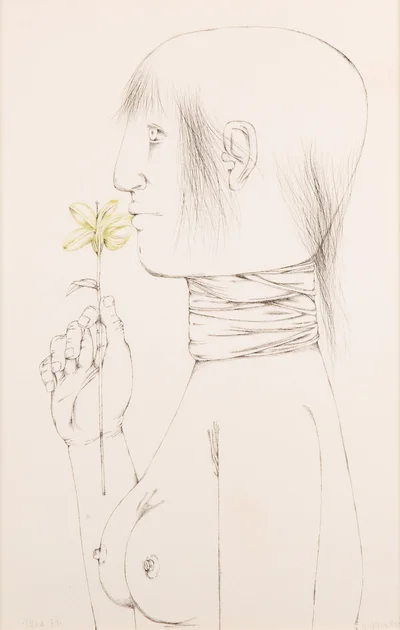 "Saba", Barbara Gawdzik-Brzozowska