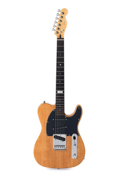 Leszek Bryk Custom Telecaster “Jan Bo”, Gitara Elektryczna Typu Solid-Body