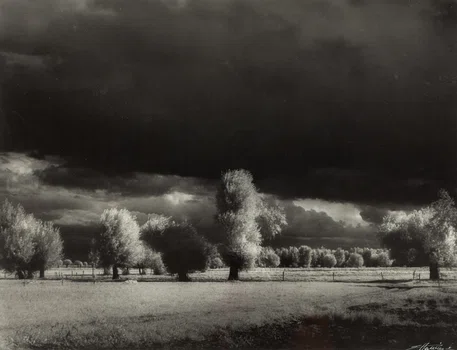 "Mazowsze", Edward Hartwig