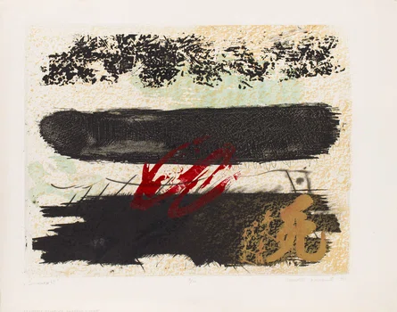 "Ściana nr 12", Krzysztof Wyzner