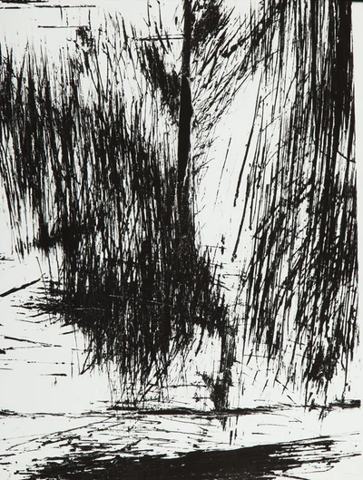Fotogram, Bronisław Schlabs