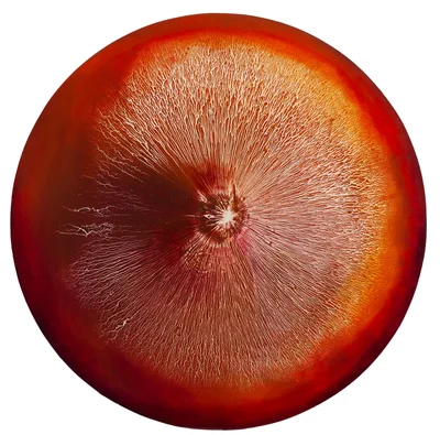 "Rhythms Red Jasper", Martyna Łuszczyńska