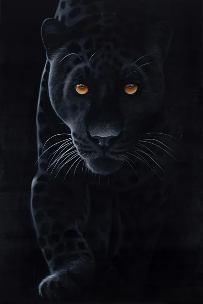 "Elise", Paulina Wróblewska