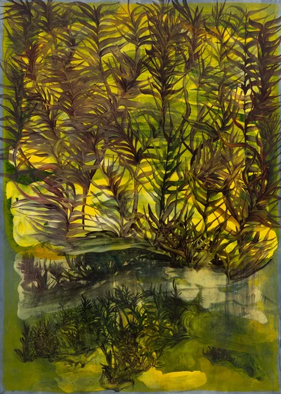 "Hydrofity V/Aquatic plants V", Edyta Hul