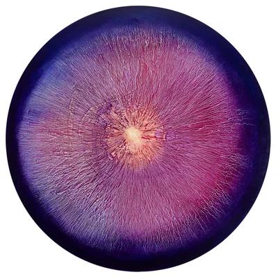 "Rhythms (Magenta, Navy Blue, Purple, Light)", Martyna Łuszczyńska