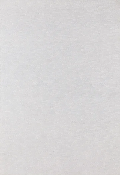 "Detail 407817 - 434714" z cyklu "1965/1 - ∞", Roman Opałka