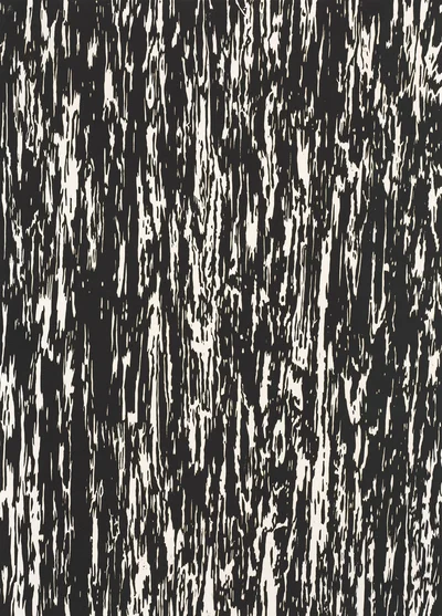 "Linoleum", Monika Sosnowska