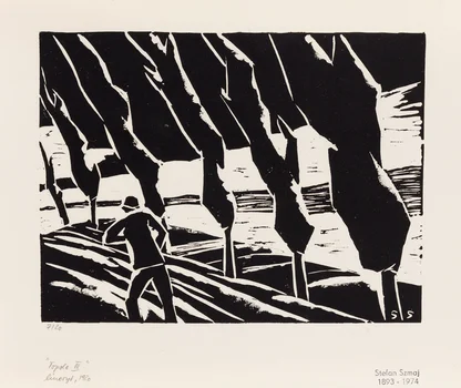 "Topole III", Stefan Szmaj