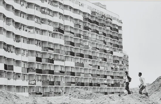 "Falowiec", Chris Niedenthal
