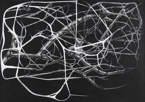 "Endemit", Łukasz Huculak