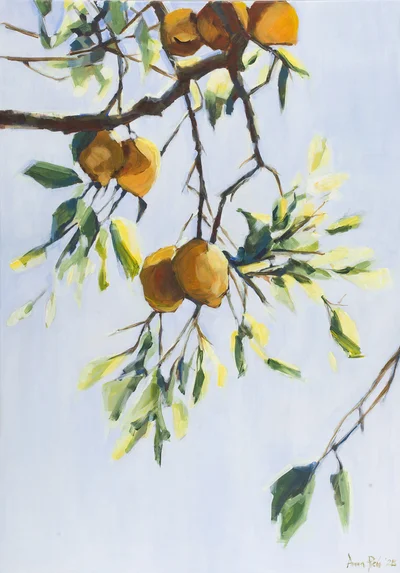 "Cytryny nr 11", Anna Pleń