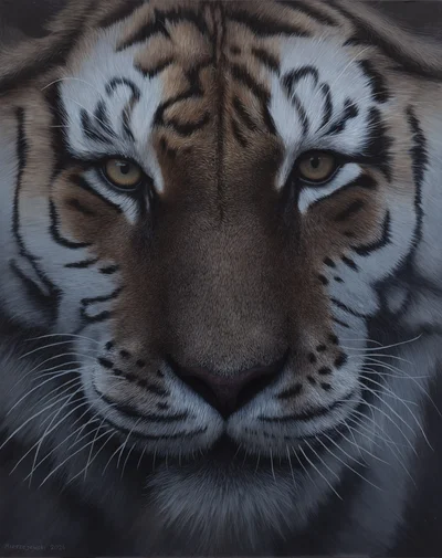 "tiger_01', Kornel Mierzejewski