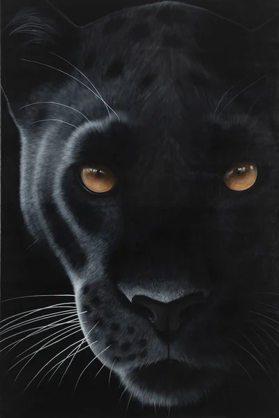 "Inaya", Paulina Wróblewska