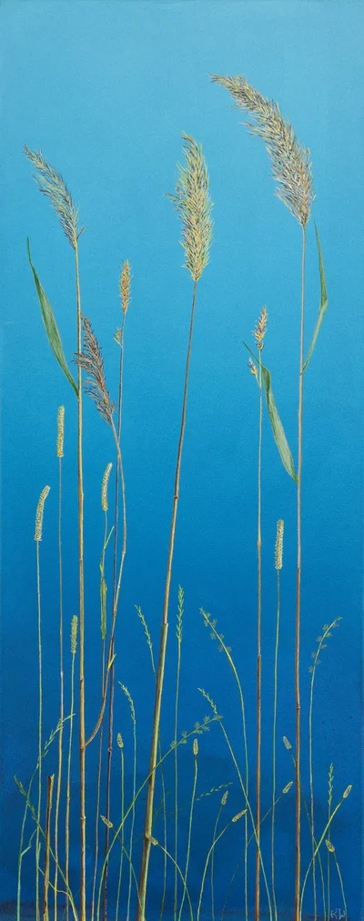 "Trzciny", Katarzyna Wendland