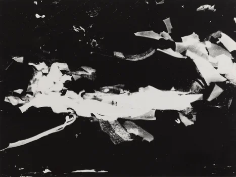 "Fotogram 39/57", Bronisław Schlabs