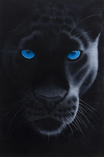 "Jiya", Paulina Wróblewska