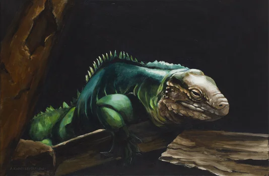 "Uważność", Aleksandra Kwapiszewska