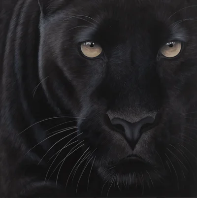 "Svar", Paulina Wróblewska