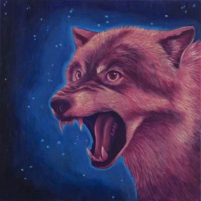 "Wilk", Anna Falk