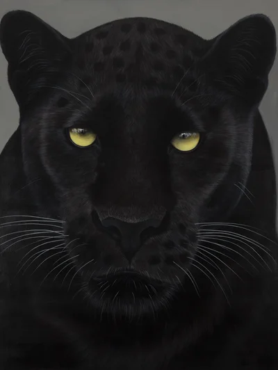 "Ziya" z cyklu "Wild Cats", Paulina Wróblewska