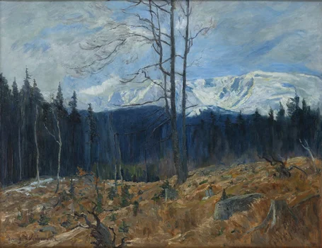 Widok na Śnieżne Kotły, Georg Wichmann