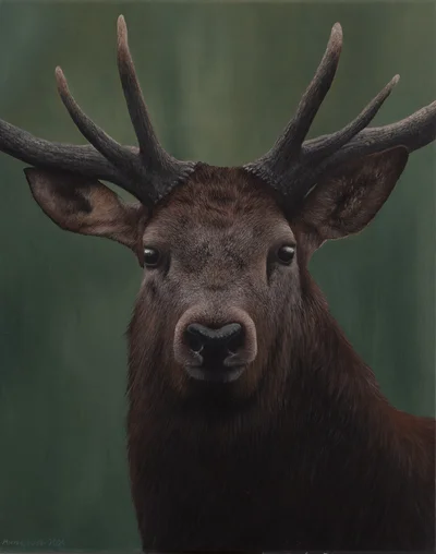 "Deer_01", Kornel Mierzejewski