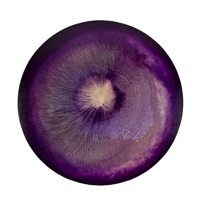 "Violet tension of harmony", Martyna Łuszczyńska