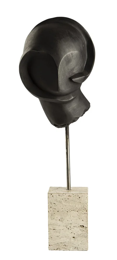"Głowa meduzy", Magdalena Berbeka