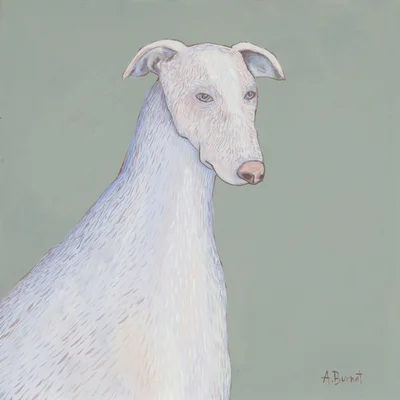 "Albino dog", Agata Burnat