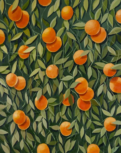 "Tangled", Zofia Wawrzynowicz