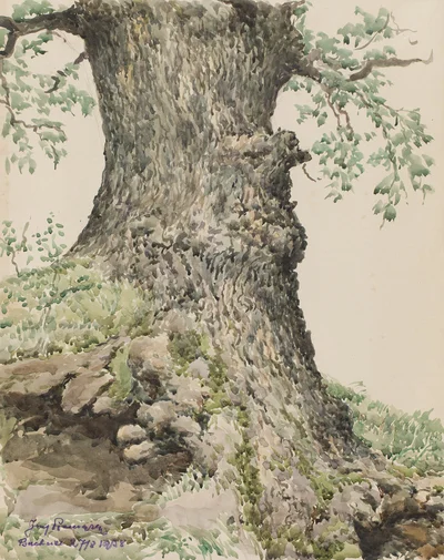 Dąb w Buchcicach, Józef Pieniążek