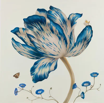 "Blu tulip", Oksana Reznik