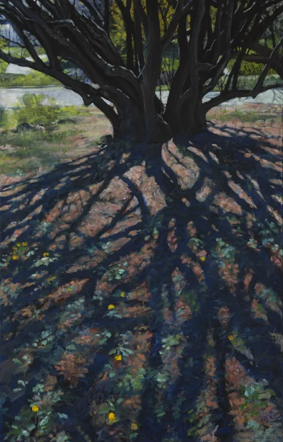 "Ogród Botaniczny UJ - Dereń", Łukasz Jacek