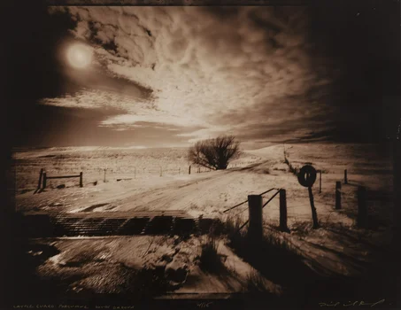 "CATTLE GUARD PORCUPINE SOUTH DAKOTA", David Michael Kennedy