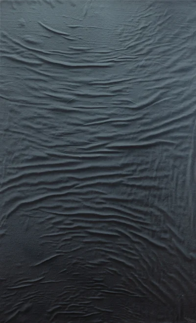 "Wybór Niejasności (6)", Agata Borowa