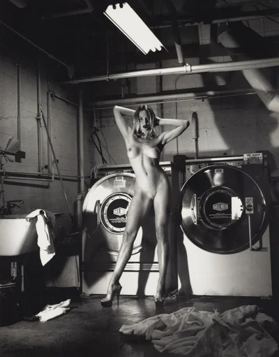 "Domestic Nude III - In The Laundry Room, Hollywood", Helmut Newton