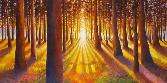 "Katedra leśnego blasku", Monika Siwiec
