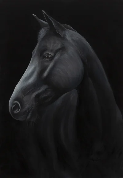 "Echo", Paulina Wróblewska