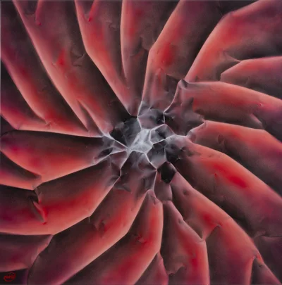 "Vortex luminix", Paweł Bienkiewicz
