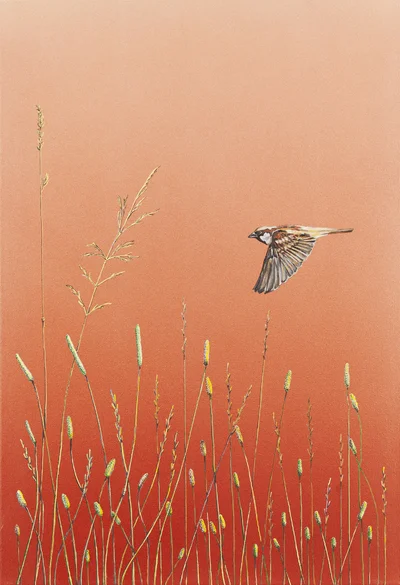 "Wróbel", Katarzyna Wendland