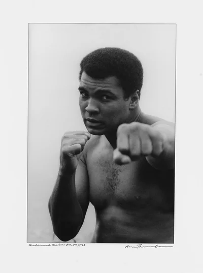 Mohamed Ali, Allan Tannenbaum