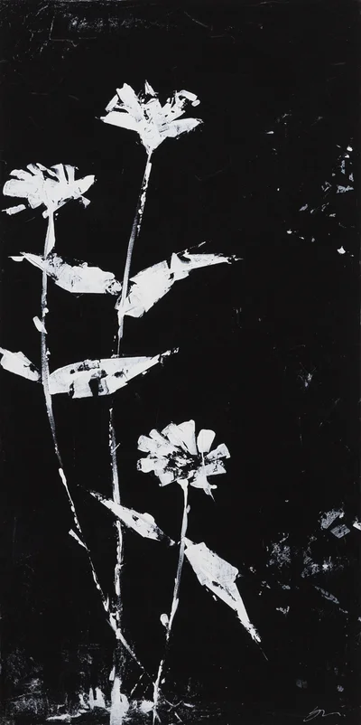 "Hope", Julia Szewczykowska